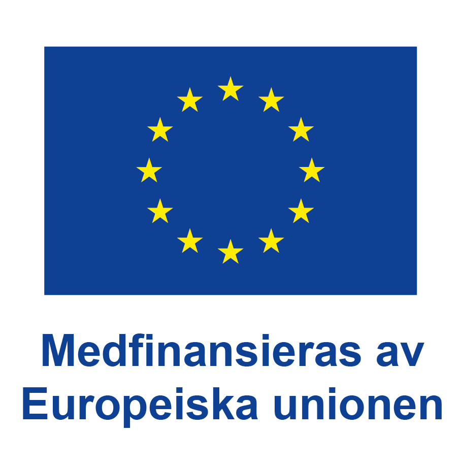 Denna bild har ett alt-attribut som är tomt. Dess filnamn är eu-emblem-vertikal-positiv-pos-1.png